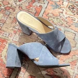 Cole Haan Light Blue Suede Heels